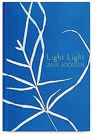 Light Light by Julie Joosten