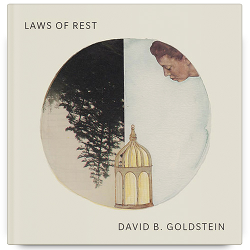 Laws of Rest by David B. Goldstein