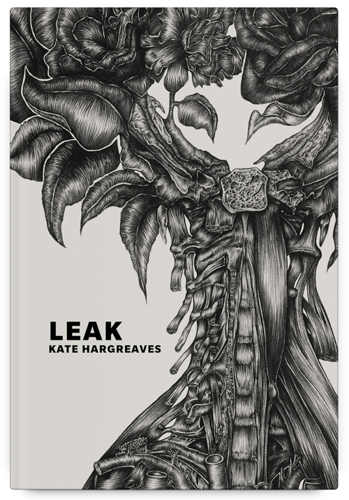 Leak by Kate Hargreaves