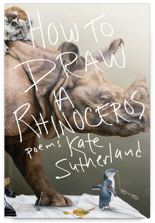 How to Draw a Rhinoceros by Kate Sutherland