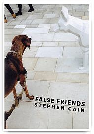 False Friends by Stephen Cain