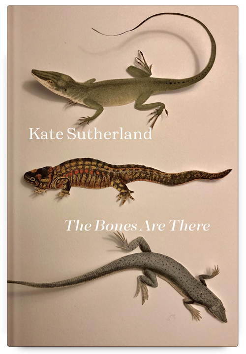 The Bones Are There by Kate Sutherland
