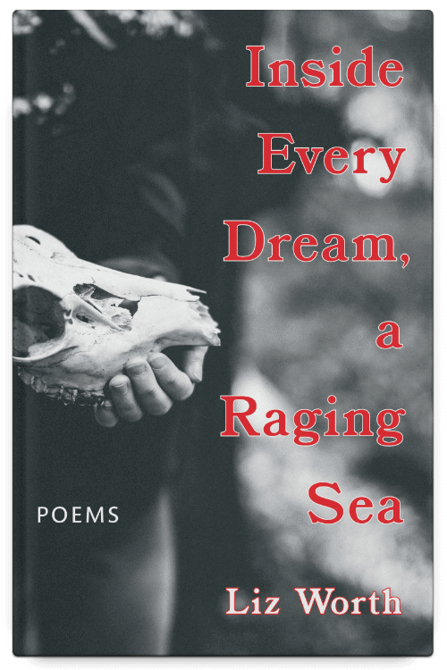 Inside Every Dream, a Raging Sea by Liz Worth